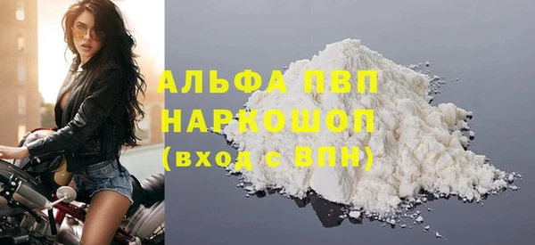 прущие грибы Покачи