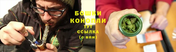прущие грибы Покачи