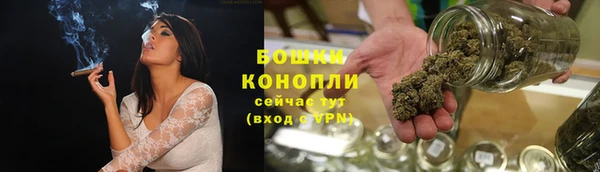 прущие грибы Покачи