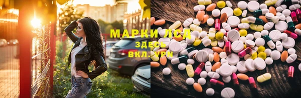 прущие грибы Покачи