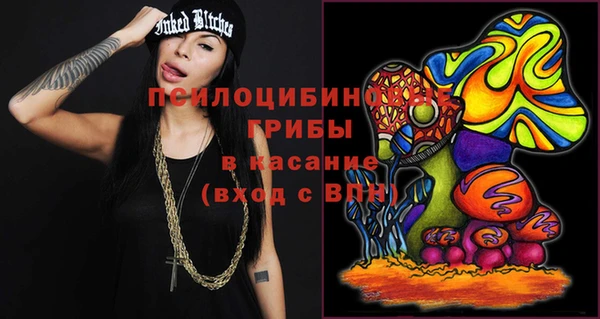 прущие грибы Покачи