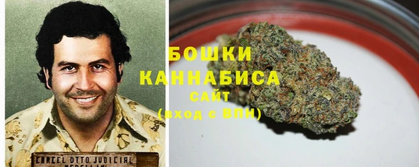 прущие грибы Покачи