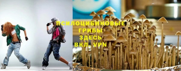прущие грибы Покачи