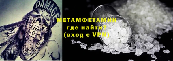 прущие грибы Покачи