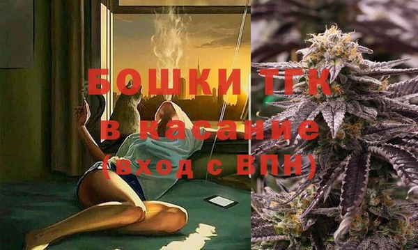 прущие грибы Покачи